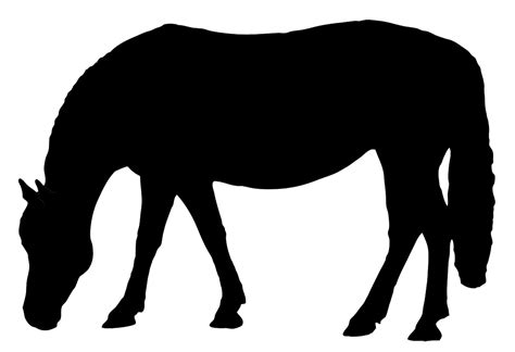 Horse Silhouette Horse Silhouette Horse Outline Horses