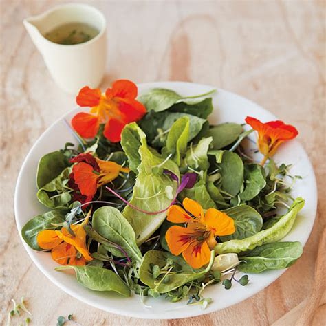They can be used as a garnish in salads or floated in drinks. 10 Best Edible Flowers Salads Recipes