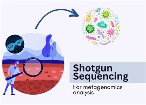 A Guide To Next Generation Shotgun Sequencing In Metagenomics