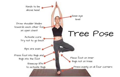 Tree Pose Yoga Steps Pauletta Kaiser