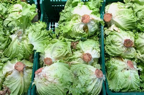 What To Do If You Find Rusty Lettuce In The Refrigerator Taste Of Home