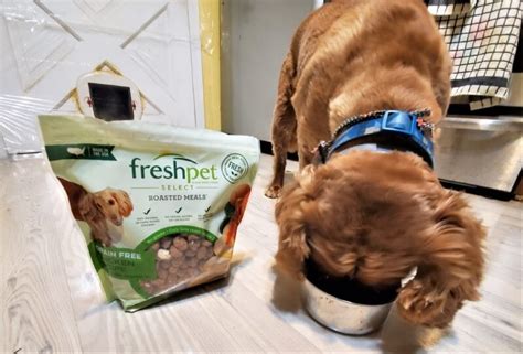 Freshpet dog food is made from vegetables and other ingredients including chicken liver, peas, brown rice, eggs, rice bran, vitamin b12 supplement, riboflavin. FreshPet Dog Food Review 2021 - Is it Good For Your Pup ...