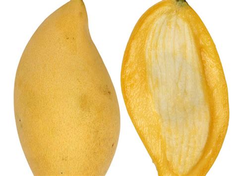 Five Benefits Of Using The Mango Seed Times Of India