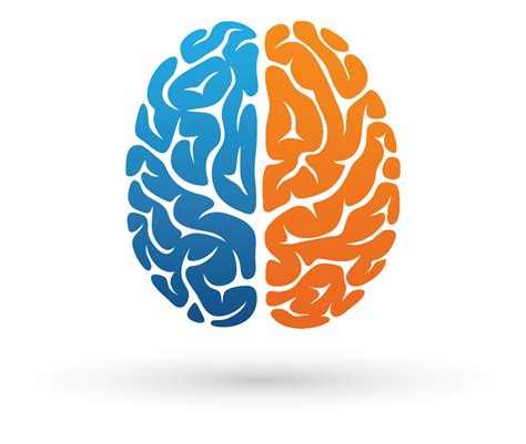 Brain Png For Logo We Provide Millions Of Free To Download High