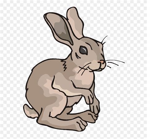 Clipart Hare 20 Free Cliparts Download Images On Clipground 2023