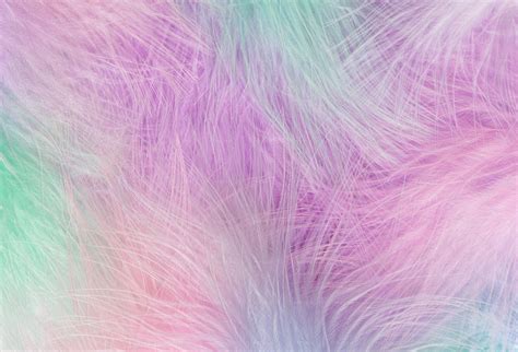 Feather Pastel Rainbow Background Stock Photos Motion