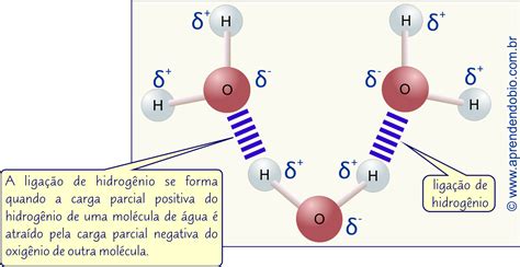 Agua Com Hidrogênio Molecular Para Que Serve