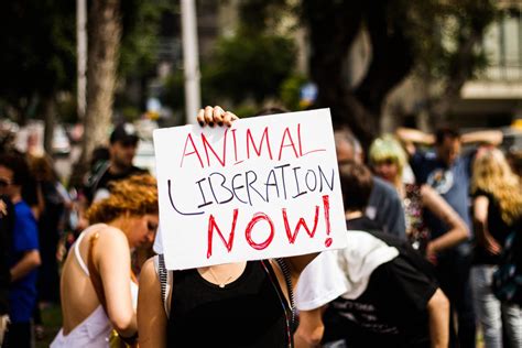 Animal Rights Advocates Deserve Free Speech Too