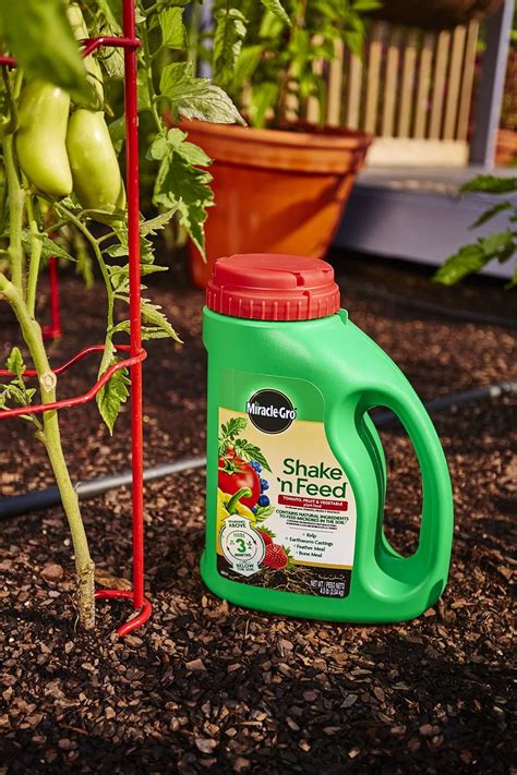 Buy Miracle Gro Shake N Feed Tomato Fruit And Vegetable Plant Food
