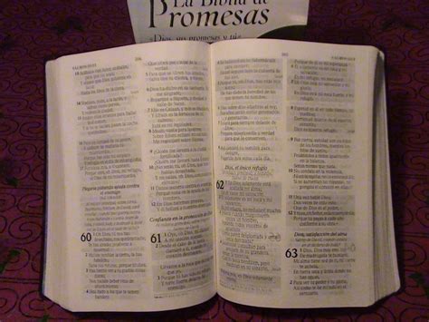 Las promesas de dios para tu. Biblia De Promesas Letra Grande Piel Café Reina Valera ...