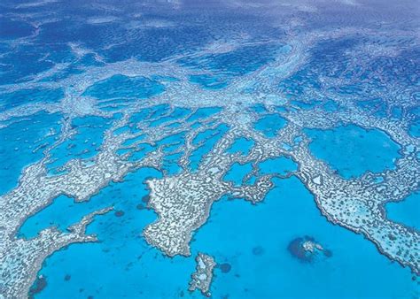 Visit The Great Barrier Reef Australia Audley Travel Uk