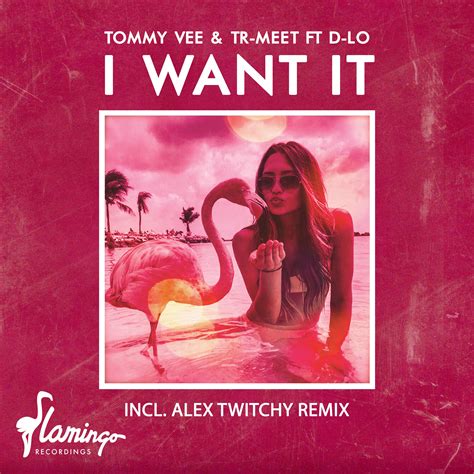 I Want It (incl. Alex Twitchy Remix) by Tommy Vee & Tr-Meet ft. D-Lo