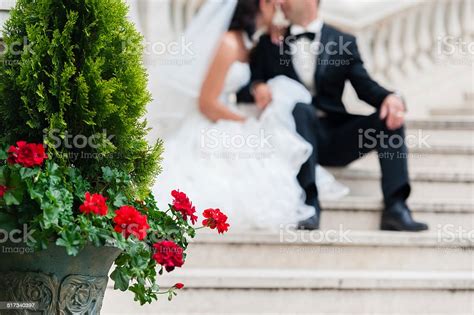 Beautiful Brunette Bride Sitting On Stairs And Kissing Groom Stock