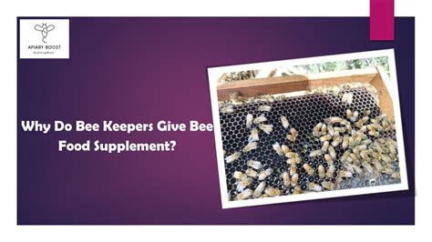 Ppt Why Do Bee Keepers Give Bee Food Supplement Powerpoint