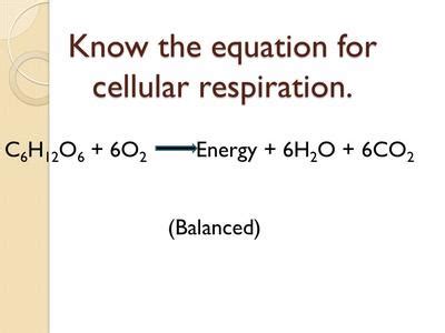 Cellular respiration involves all of the following except. What Are The Reactants In The Equation For Cellular Respiration? / Plant processes respiration ...