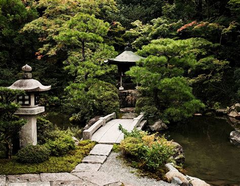 För de allra flesta är näckrosor troligen något som växer i vilt tillstånd, i sjöar och vattendrag där djupet är idealiskt och soltimmarna många. Japanska trädgårdar - andlig trädgårdskonst