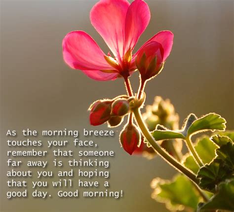 With A Cool Morning Breeze Free Good Morning Ecards Greeting Cards