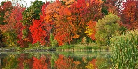 Stunning Fall Scenery Northern Wisconsin Autumn Scenery Scenery