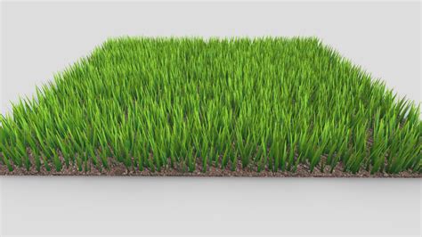 Patch Of Grass Buy Royalty Free 3d Model By Assetfactory 74d524a