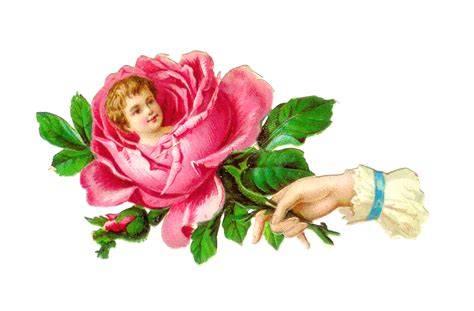 Antique Images Vintage Flower Clip Art Victorian Die Cut