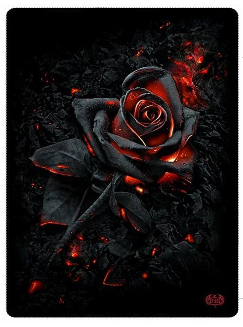 Burnt Rose Fleece Blanket By Spiral Usa Black Roses Wallpaper Black