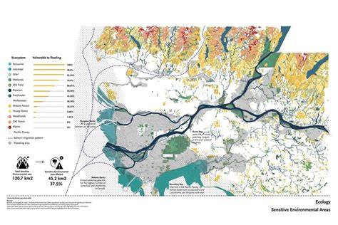 The Fraser River Delta Collaborative Advancing Design For Sea Level