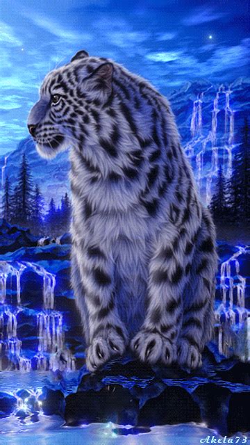 White Tiger  Image Unseen Pictures 4 You