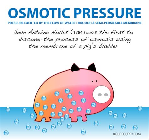 Osmosis is the diffusion of a solvent through a differentially permeable membrane.in biological systems, the solvent will usually be water. Osmotic Pressure - Surfguppy - Chemistry made easy - visual learning