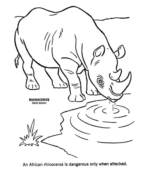 Realistic Coloring Pages Of Animals Coloring Home