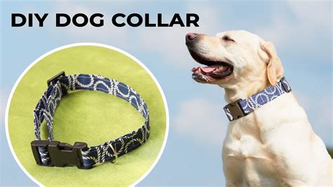 Diy Dog Collar How To Sew A Dog Collar In Just 10 Minutes Youtube