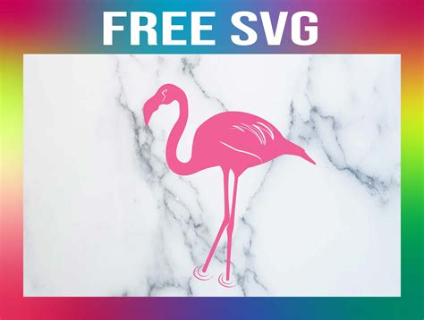 Free Flamingo SVG