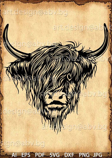 Vector BUFFALO Highland Cow head AI PNG eps pdf svg | Etsy in 2021