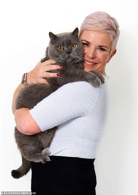Read more about this cat breed on our british shorthair breed information page. Meet the must-have British Shorthair breed which is loved ...