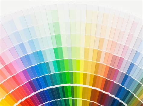 Color palettes interested in color palettes? How (And Why) to Consistently Use Brand Colors In Videos ...
