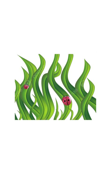 Ladybugs Nature Lady Grass Vector Nature Lady Grass Png And Vector