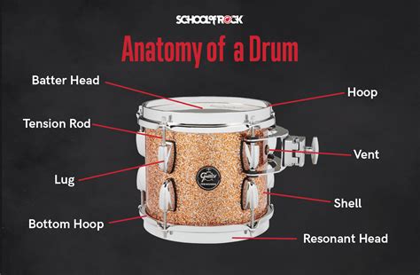 Anatomy Of A Drum Drums Drum Lessons How To Play Drums