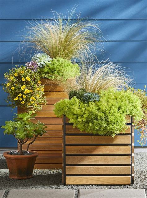 A Container Planting Made For Hot Summer Days — Better Homes And Gardens