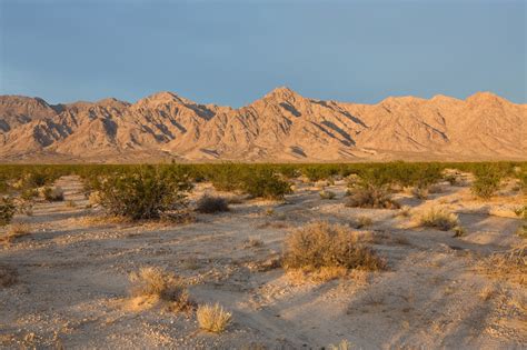 In The California Desert Vast Darkness Vibrant Music An Oasis The