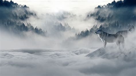 Wolves 4k Wallpapers For Your Desktop Or Mobile Screen Free And Easy To