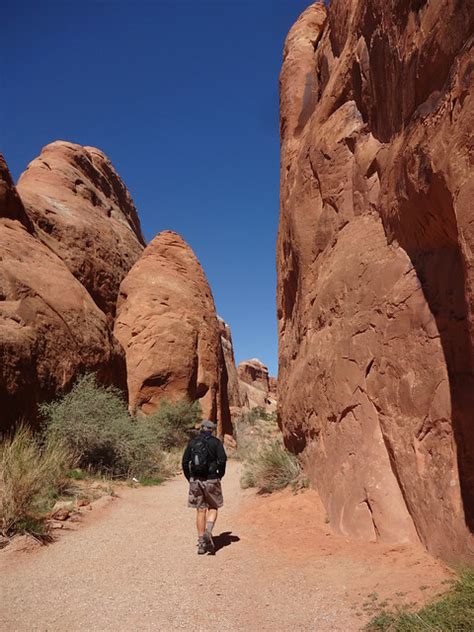 Maybe you would like to learn more about one of these? Devils Garden - Arches NP | Oh, the Places They Go!