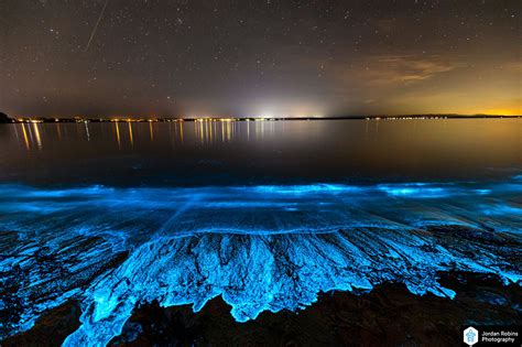 Stunning Bioluminescence Display In Jervis Bay