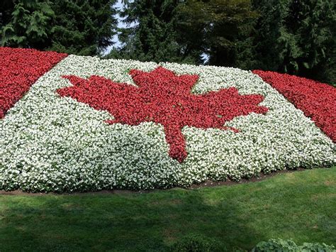 Free Photo Canada Flag Minter Gardens Free Image On Pixabay 219540