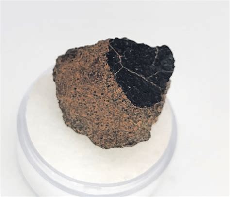 Crusted Martian Nakhlite Meteorite Paired With Nwa 10645 810gn