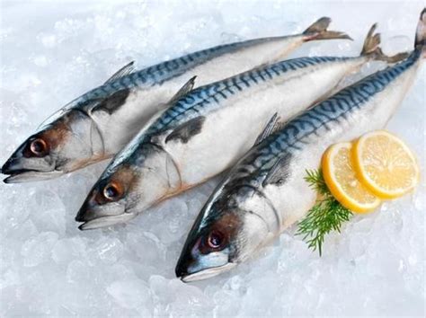 Dari kesepuluh jenis di atas. Ikan Apa Saja Sih yang Enggak Boleh Dimakan Saat Hamil?