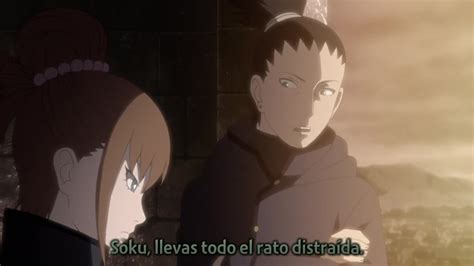 Ver Naruto Shippuden 1x490 Sub Español Online