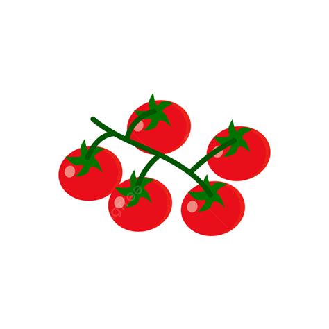 Tomates Cherry Frescos Png Vectores Psd E Clipart Para Descarga