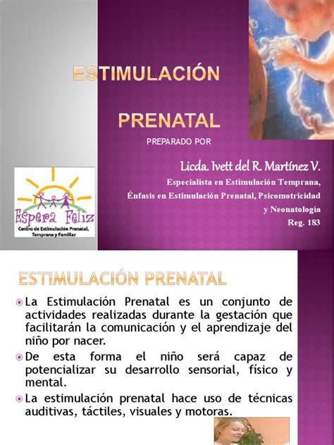 Estimulación Prenatal Pdf Cerebro Neurona
