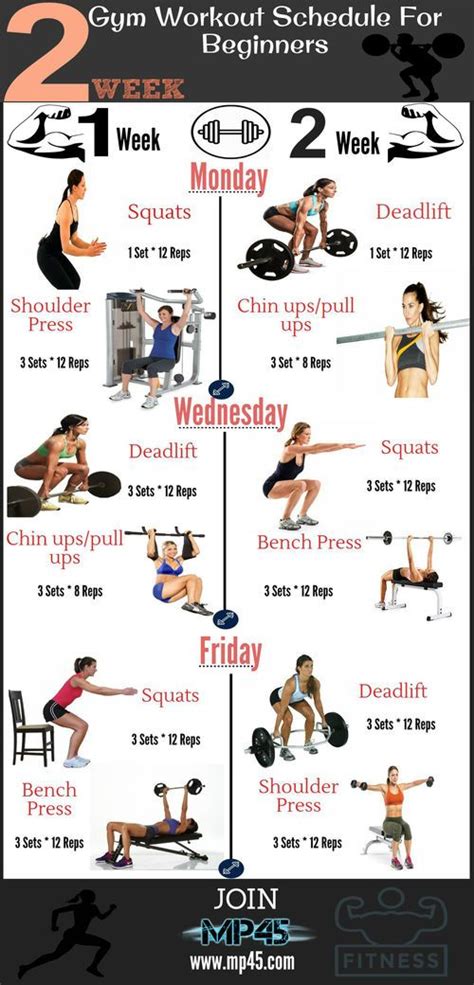 2 Week Gym Workout Schedule For Beginners Gym Workout Schedule