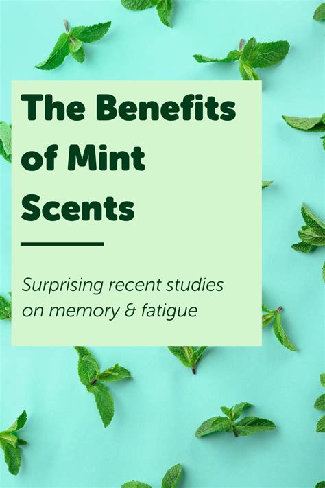 Put Pep In Your Step With Mint Scents Scents Peppermint Scent Mint