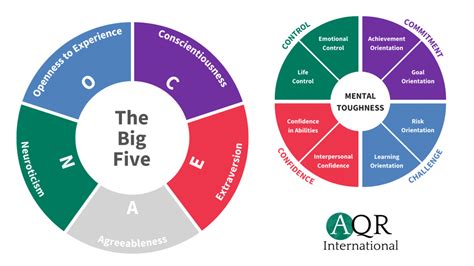 The Big Five Personality Model And The Mental Toughness Concept